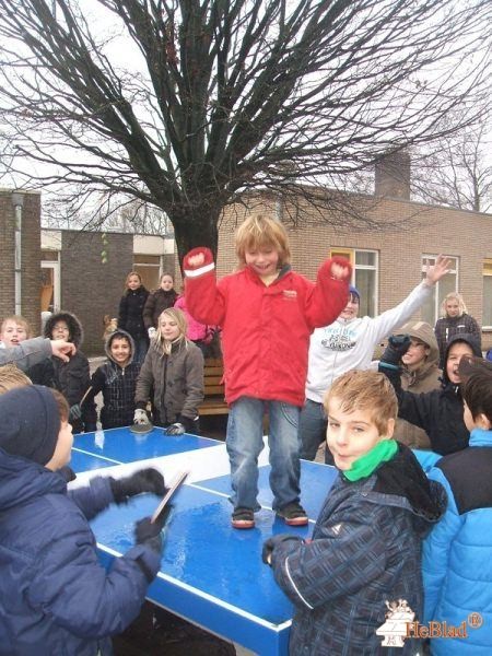 Action 4 Kids Nederland B.V. uit Dalfsen