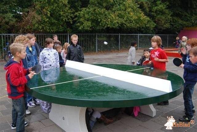 Neerhofschool uit Zevenbergen