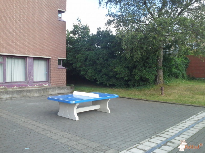 Internaat MPI De Mast uit Beerse