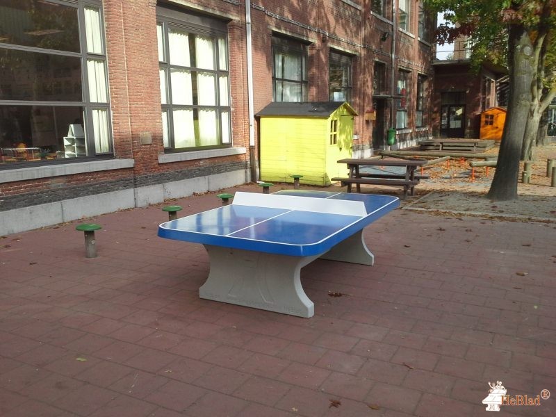 GO! 't Pleintje uit Willebroek