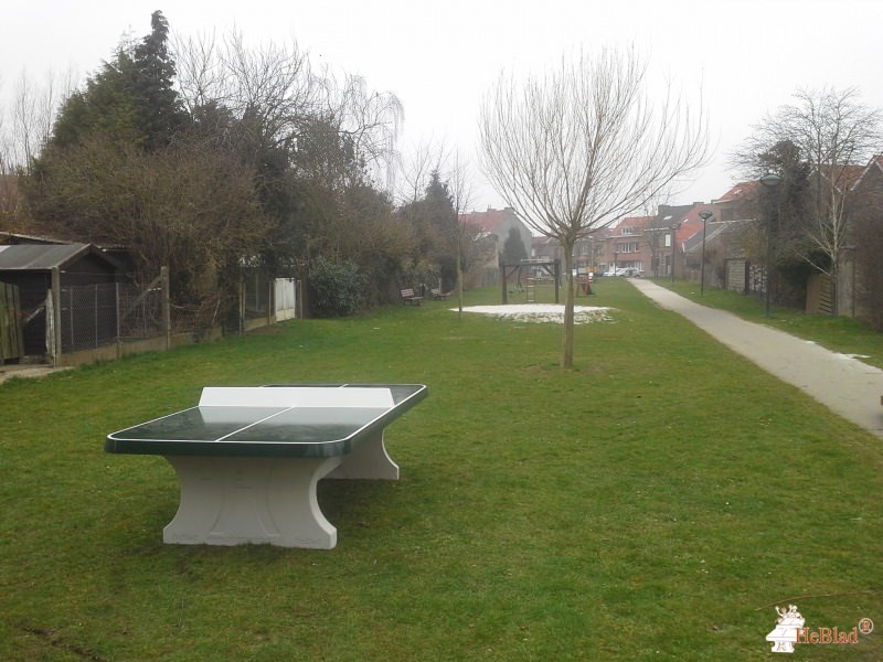 Gemeente Leuven Kessel LO uit Kessel LO