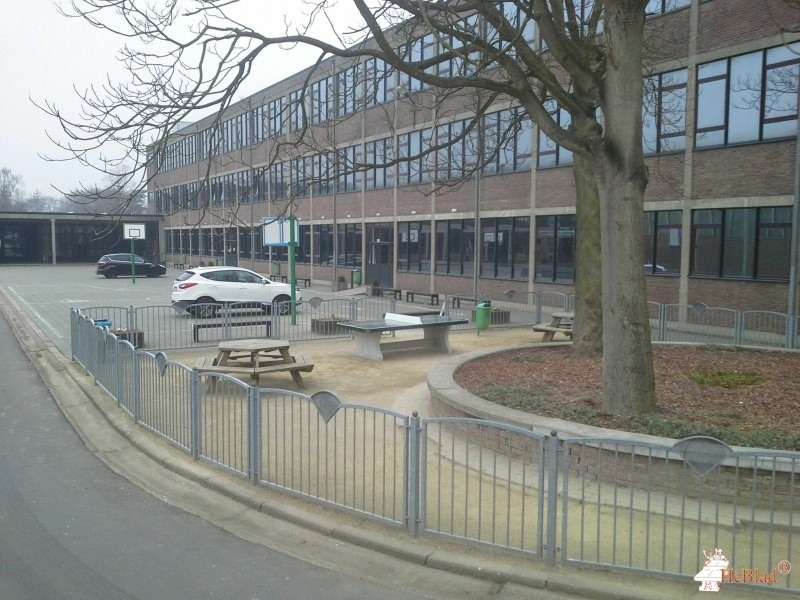 Provil uit Lommel