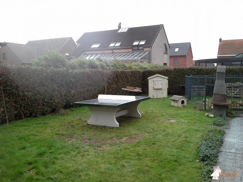 Anne Theys uit Wezemaal
