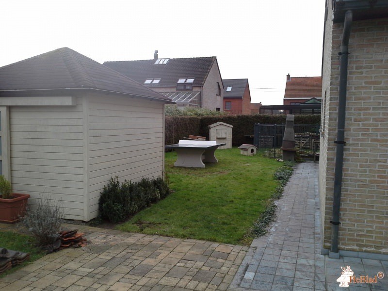 Anne Theys uit Wezemaal