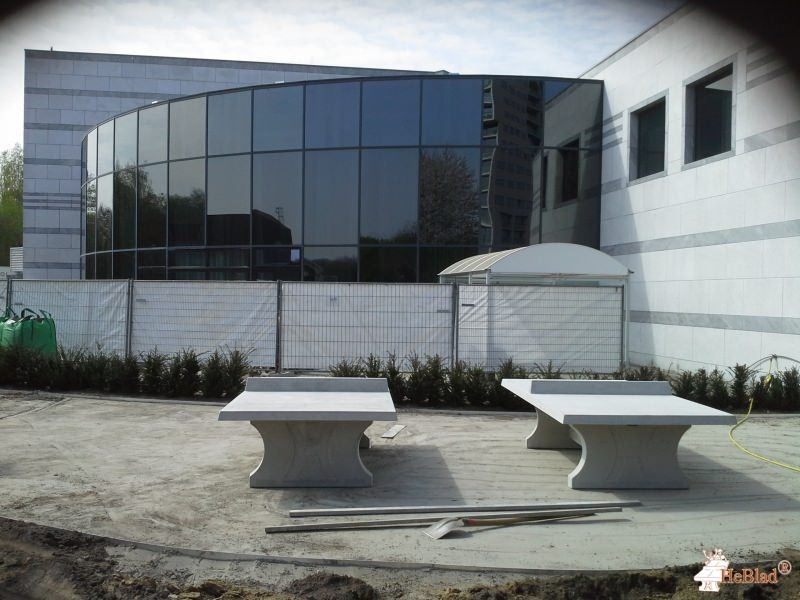 Werf Groener tbv speelveld. uit Vilvoorde