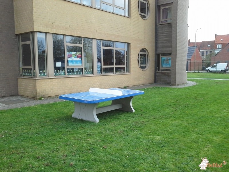 vzw Ster[K] Internaat uit Kuurne