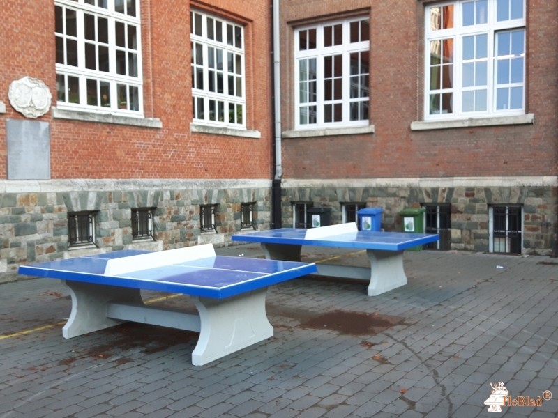 Sint Michielscollege Brasschaat uit Brasschaat