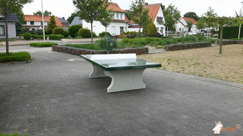 Gemeente As uit As