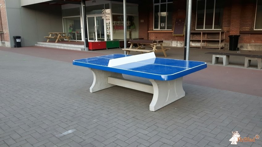 De Meidoorn uit Eeklo