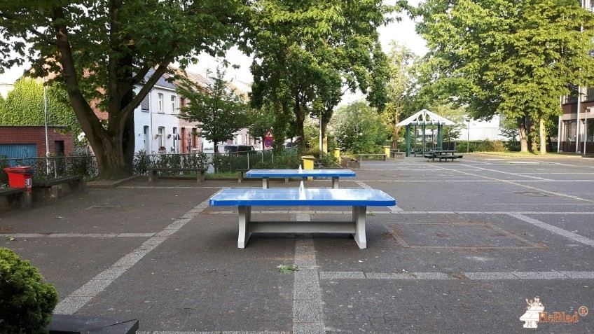 Atheneum Schoten (Belgie) uit Schoten