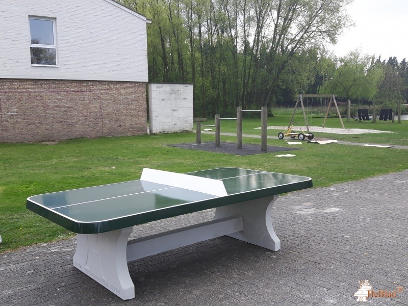 Ciris vzw – Cirkels in Samenwerking uit Arendonk