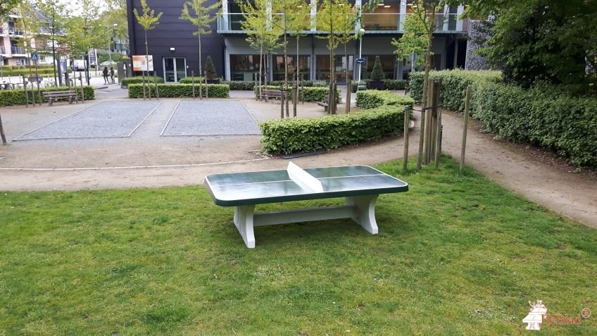 Gemeentepark uit Schoten