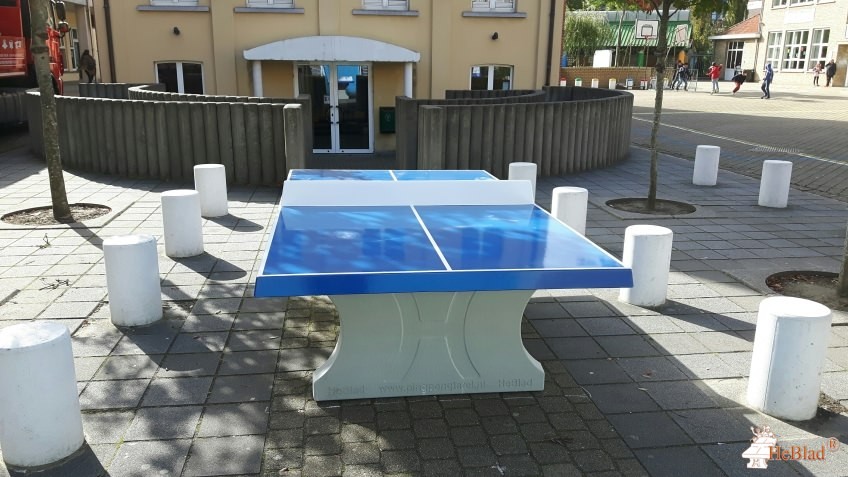 Immaculata Instituut uit De Panne