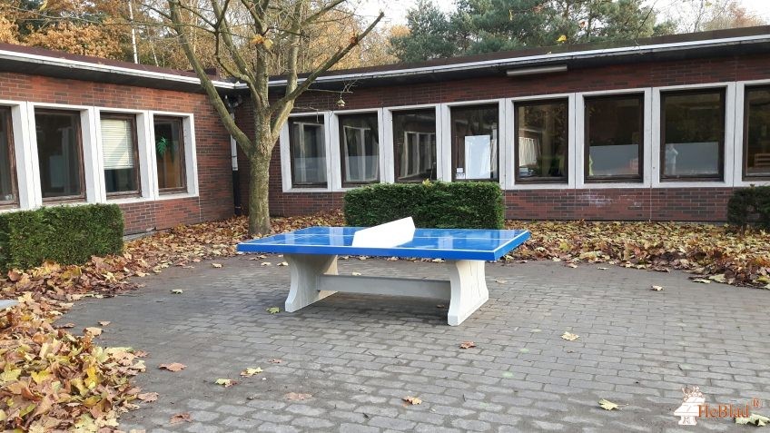  School Klim Op uit Lokeren