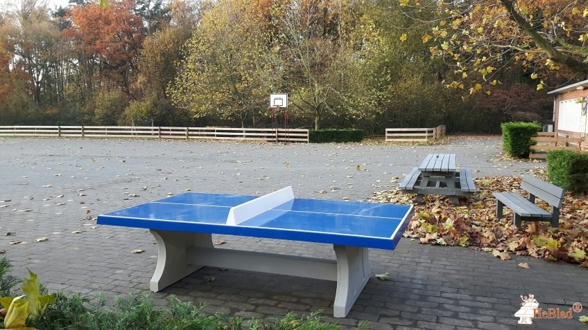  School Klim Op uit Lokeren