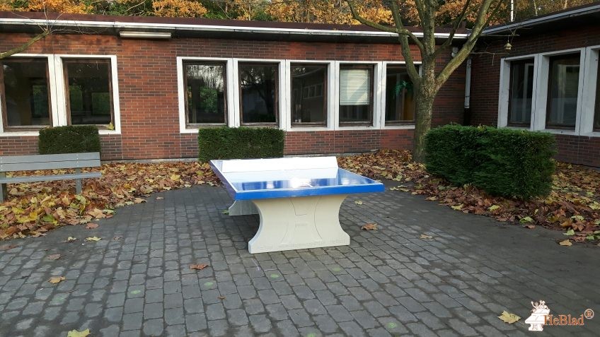  School Klim Op uit Lokeren