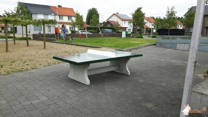 Gemeente As uit As