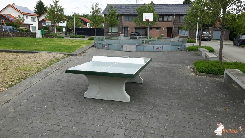 Gemeente As uit As