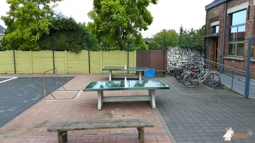 Sint Lodewijkscollege uit Brugge