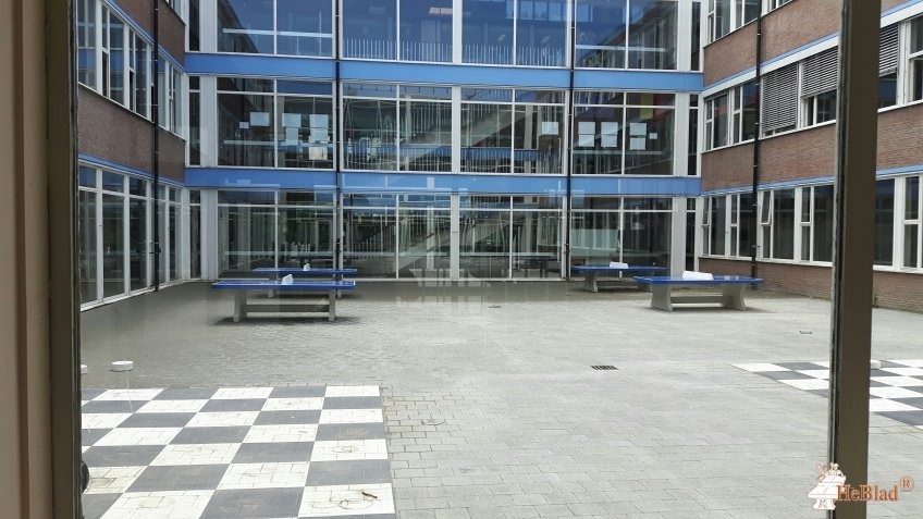 Europese School Mol uit MOL