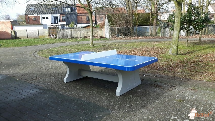 Ingang schoolpoort gebruiken Boekweitstraat uit Schoten