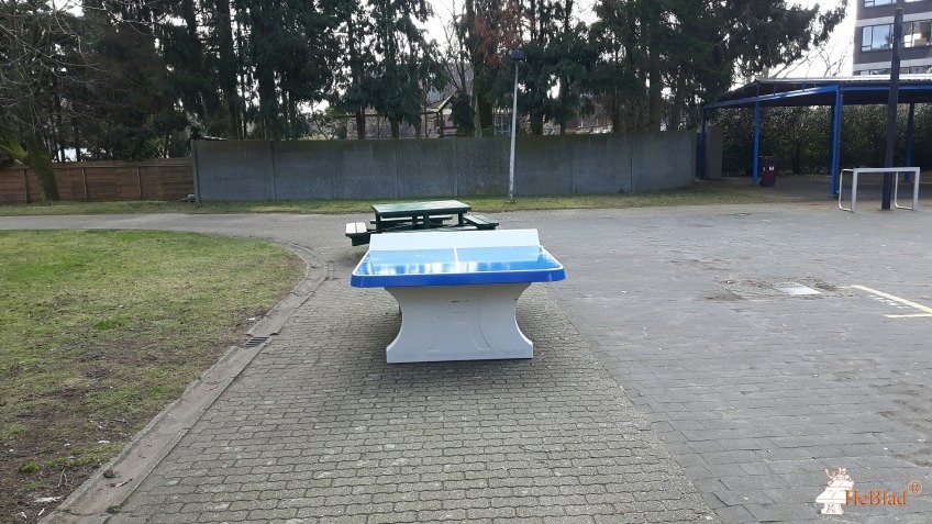 Ingang schoolpoort gebruiken Boekweitstraat uit Schoten