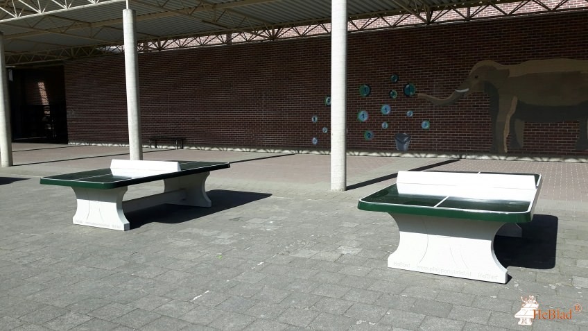 Vzw Provincialaat der Broeders van Liefde uit Merksem