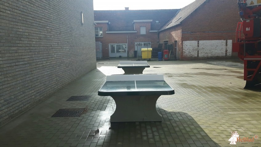 H. Hart van Maria-instituut uit 's-Gravenwezel