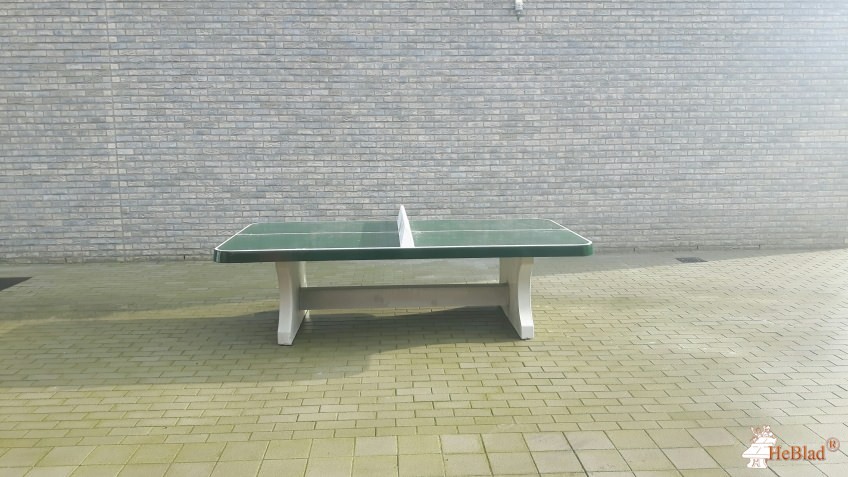 H. Hart van Maria-instituut uit 's-Gravenwezel