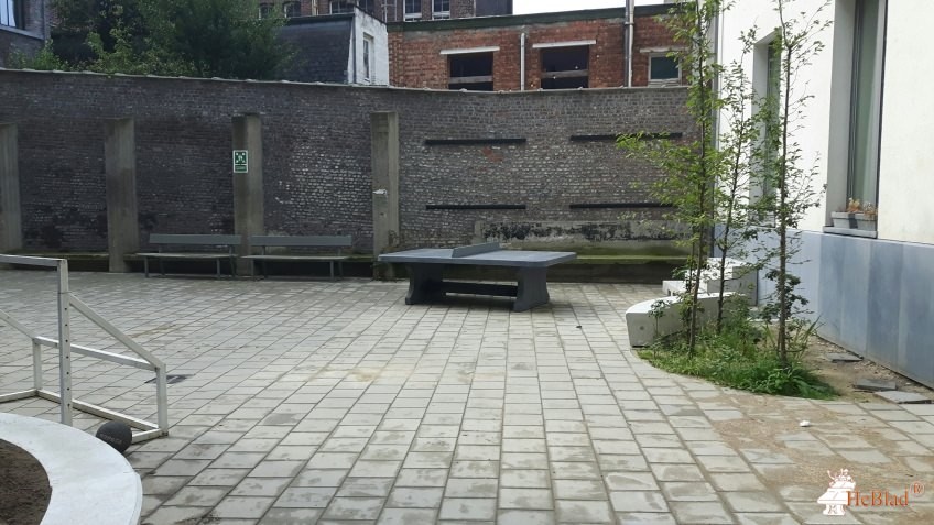 vzw St Lukas Kunstschool Brussel uit Schaarbeek