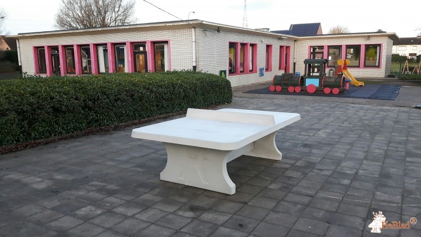 Basisschool Wereldboom uit Denderleeuw