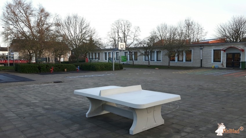 Basisschool Wereldboom uit Denderleeuw