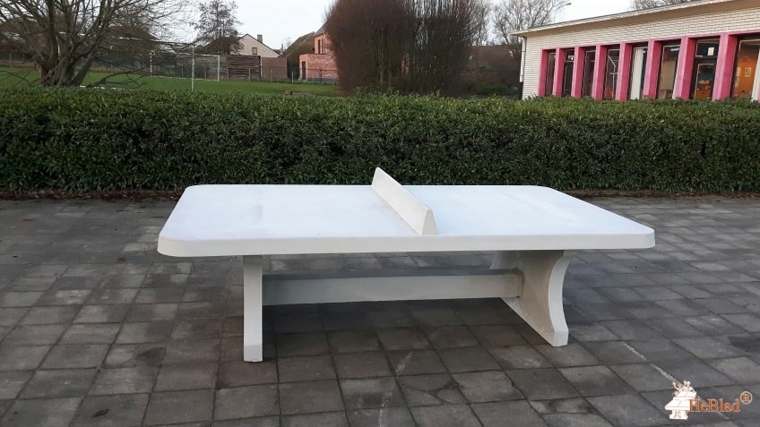 Basisschool Wereldboom uit Denderleeuw