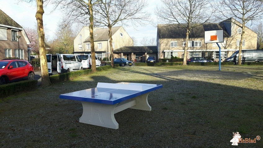 Gemeente Sint-Michielsgestel uit Berlicum 