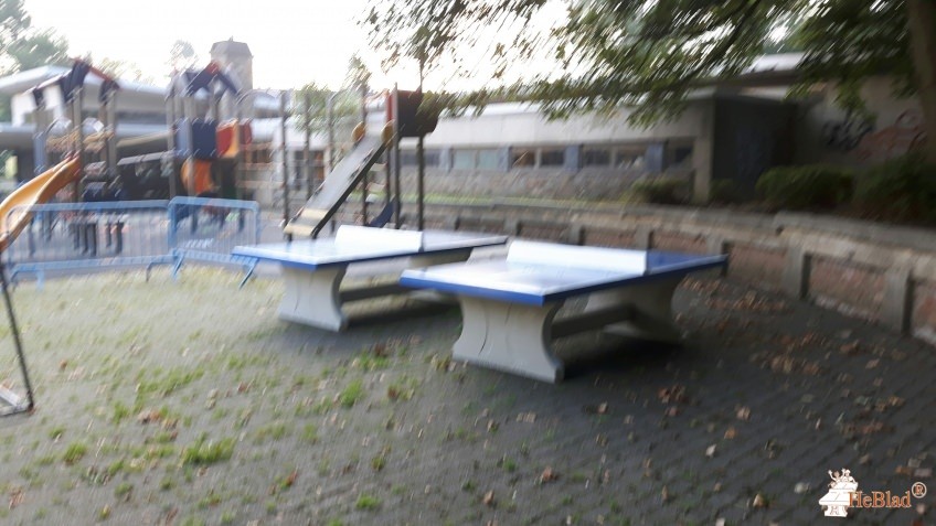 Ecole du Homborch uit Uccle