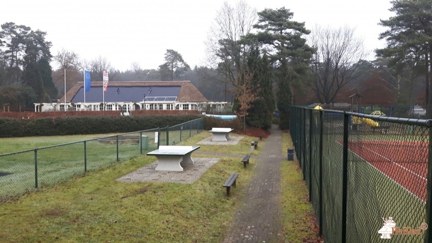 Recreatiepark de Dikkenberg uit Bennekom (Gld)