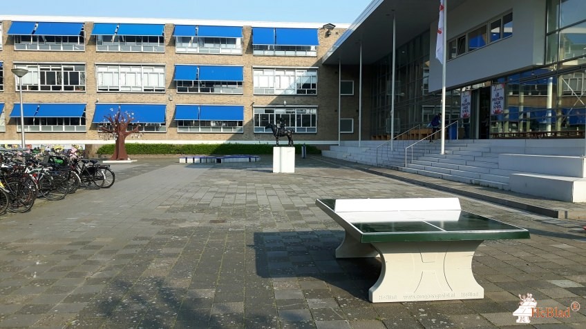 Da Vinci College uit Leiden