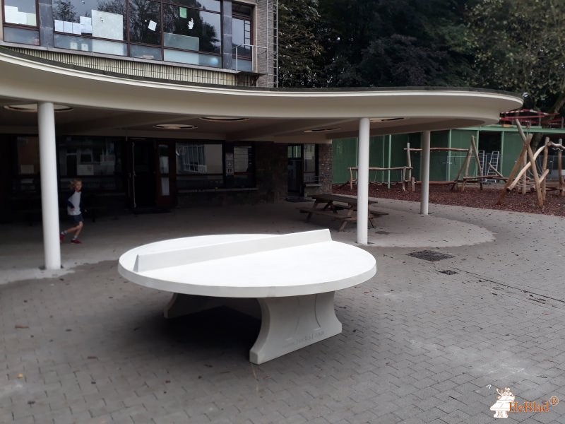 Stedelijke basisschool de Vlinderboom uit Borgerhout