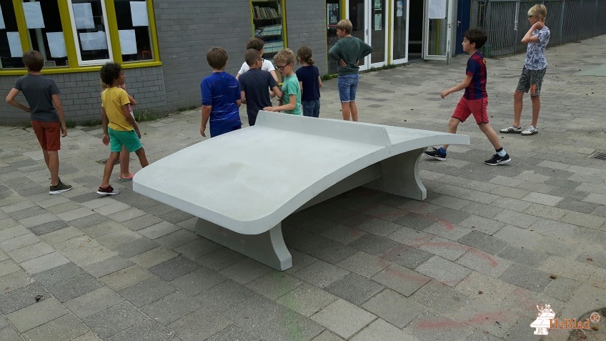 15e Montessori Maas en Waal  uit Amsterdam