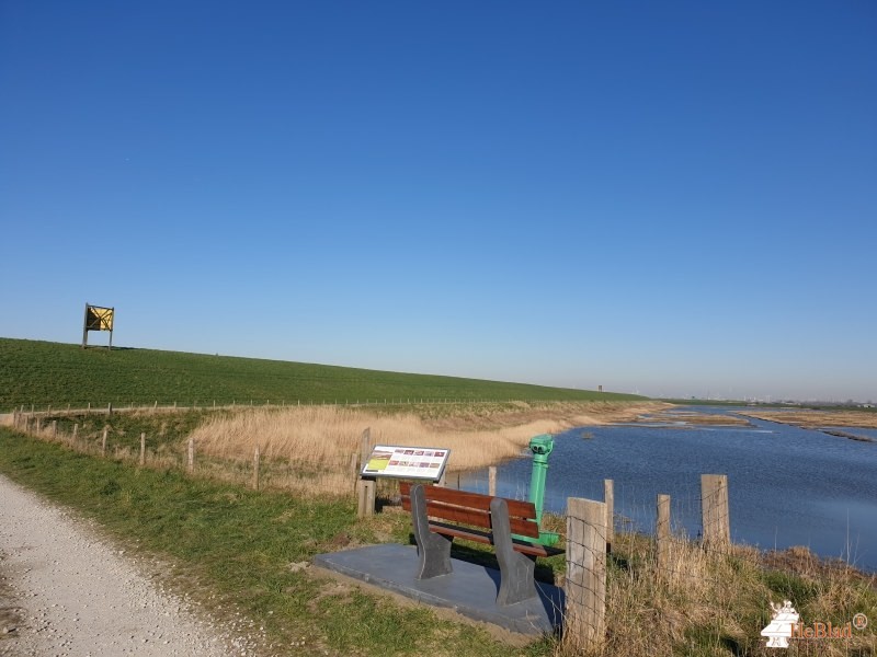 Gemeente Borsele de Ellewoutsdijk