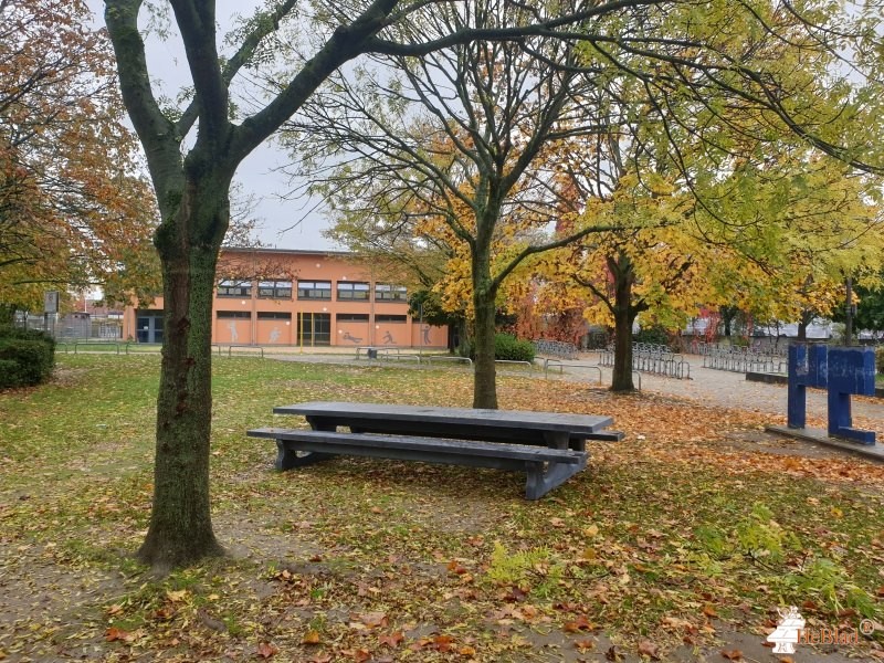 Förderverein der Geschwister-Scholl-Gymnasium uit Pulheim