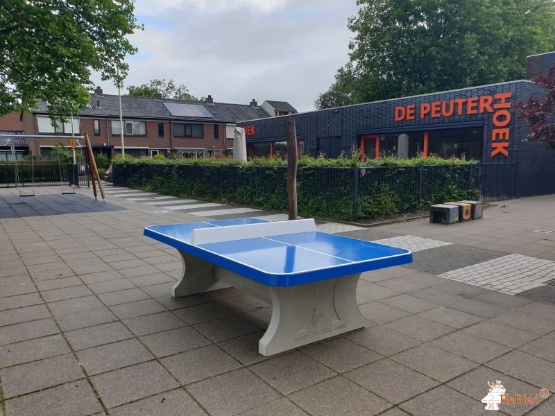 Anne Frankschool uit Bleiswijk