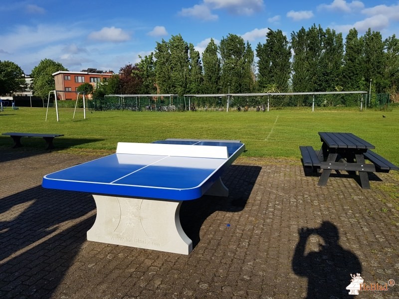 KTA da Vinci uit Edegem