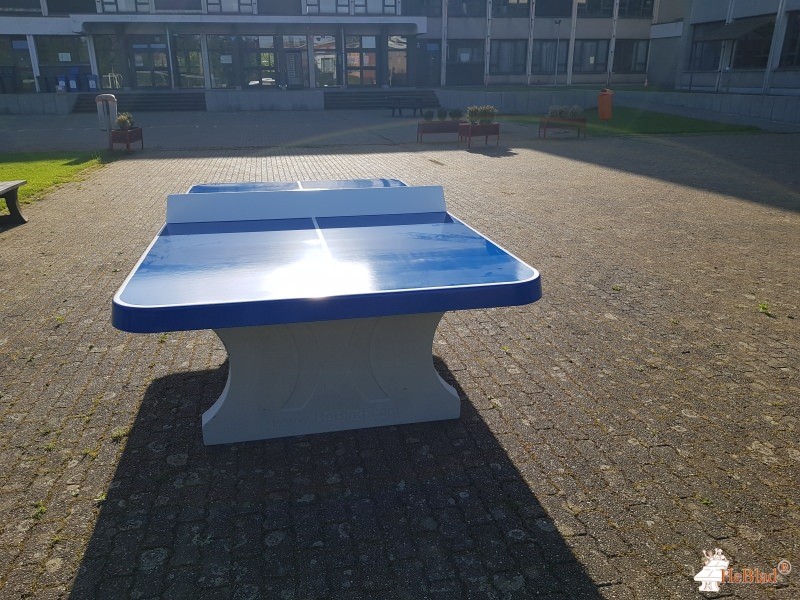 KTA da Vinci uit Edegem