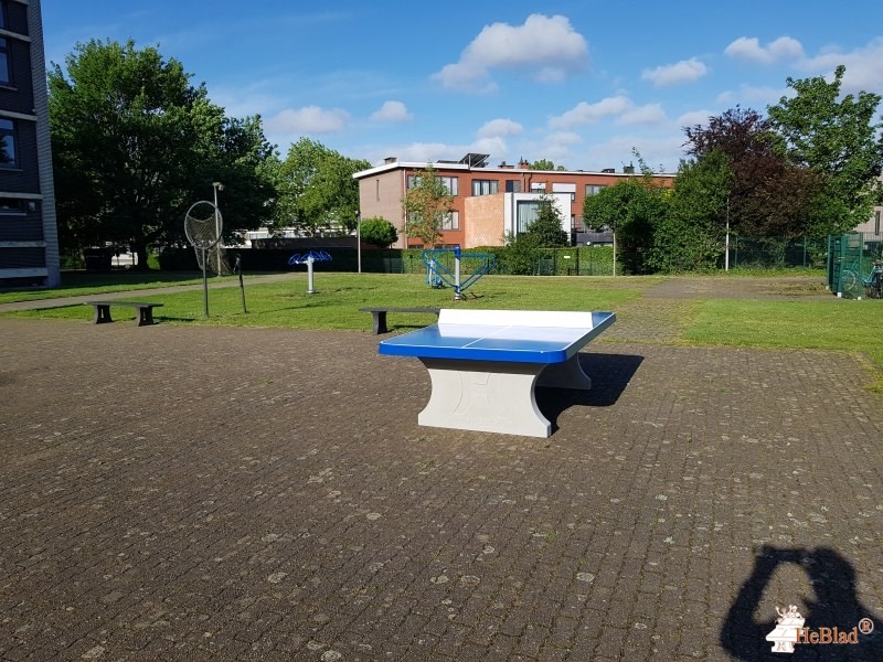 KTA da Vinci uit Edegem