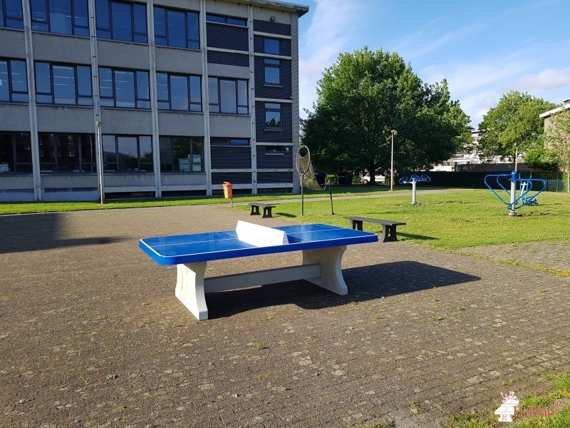 KTA da Vinci uit Edegem