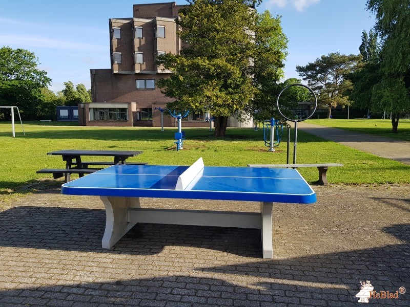 KTA da Vinci uit Edegem