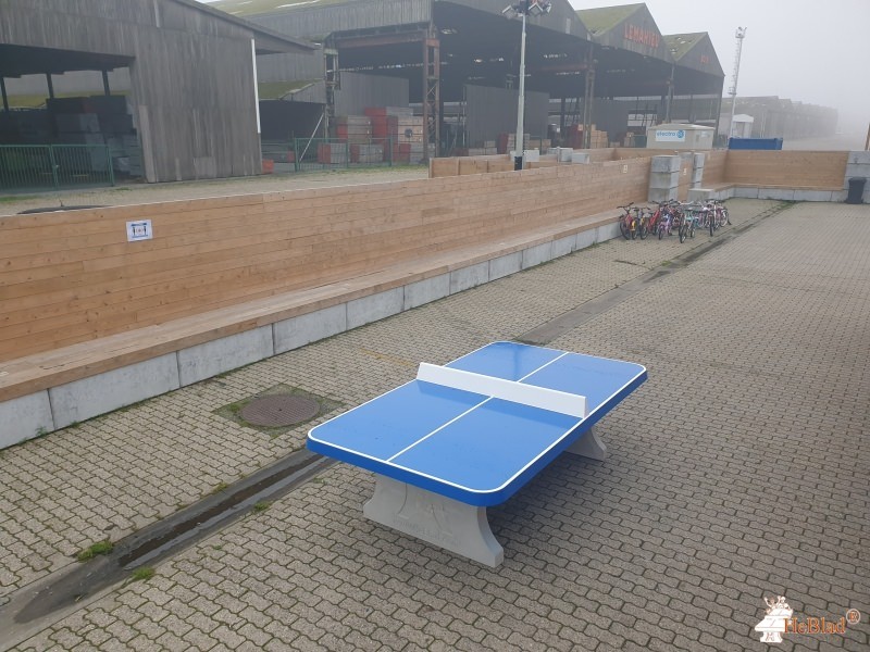 Fedasil OG Gent uit Gent