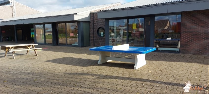 SBS Spalbeek - De Spr@nkel uit Hasselt
