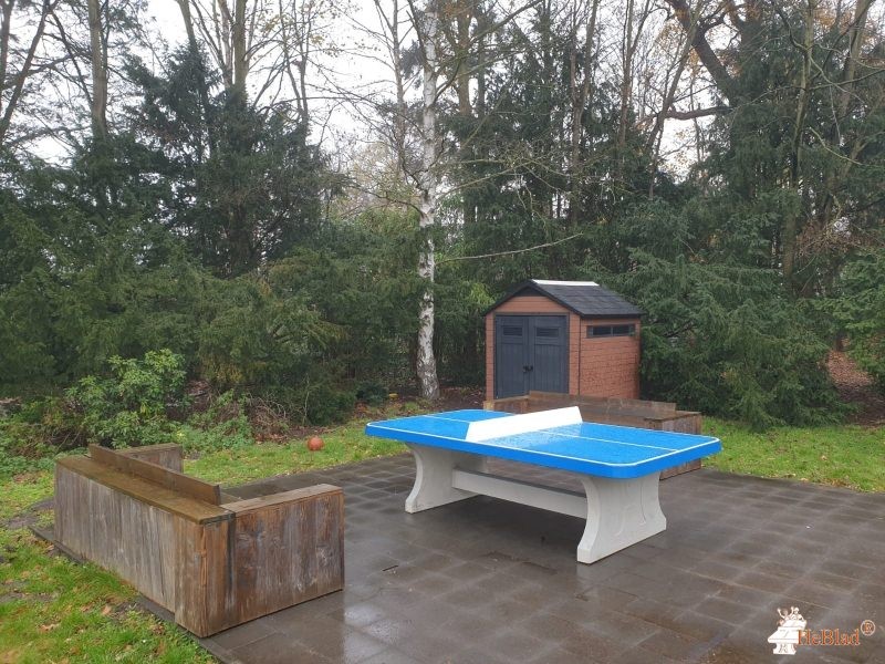 Internaat Heidehof uit Kapellen